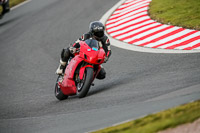 Oulton-Park-21st-March-2020;PJ-Motorsport-Photography-2020;anglesey;brands-hatch;cadwell-park;croft;donington-park;enduro-digital-images;event-digital-images;eventdigitalimages;mallory;no-limits;oulton-park;peter-wileman-photography;racing-digital-images;silverstone;snetterton;trackday-digital-images;trackday-photos;vmcc-banbury-run;welsh-2-day-enduro